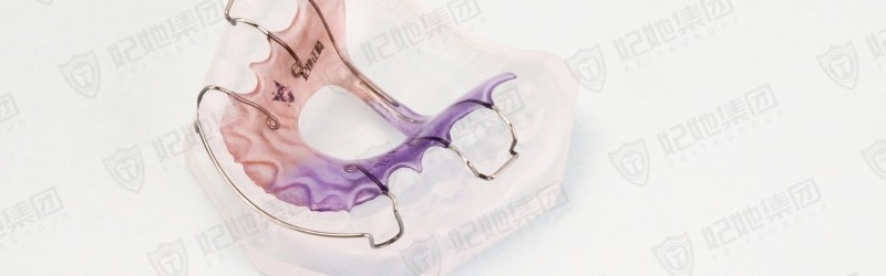 舒适型哈雷保持器(半口)