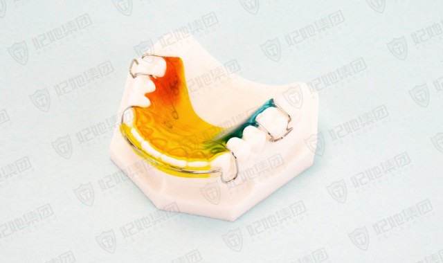 Hawley Retainer改良式哈雷保持器(半口)