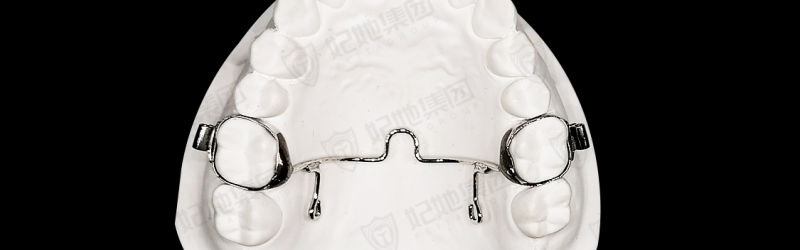 固定双侧磨牙竖立器