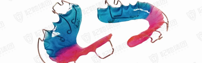 Hawley Retainer哈雷保持器(全口)