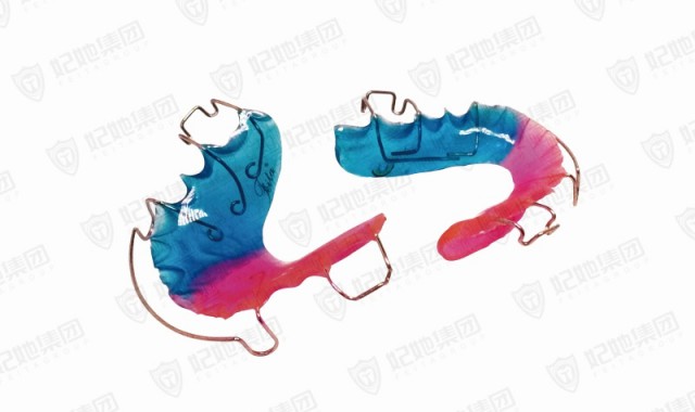 Hawley Retainer哈雷保持器(全口)