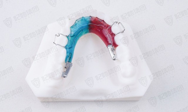 螺旋簧双侧磨牙竖立器 