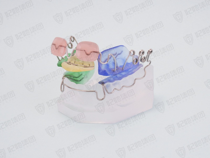159-LR功能性矫治器.jpg