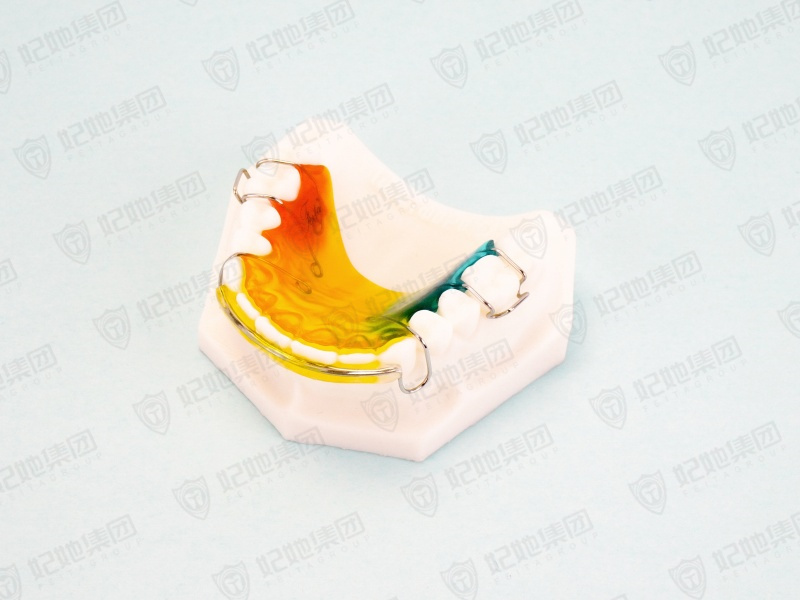 020-2-Hawley Retainer改良式哈雷保持器(半口).jpg